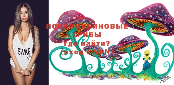 МДПВ Беломорск